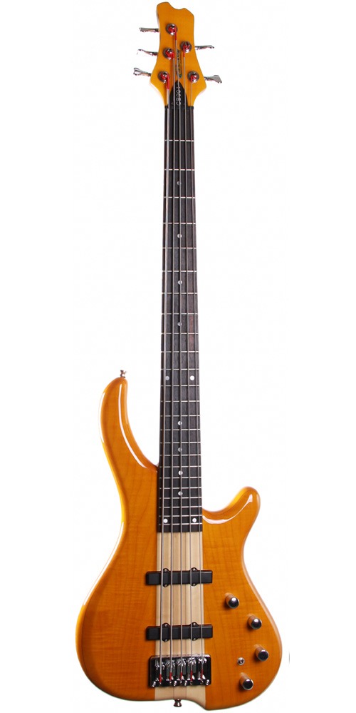 Cassidy guitars 5 string bass guitar